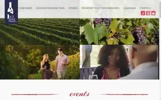 Ctwine.com Screenshot 2024-07-04 20:37:25