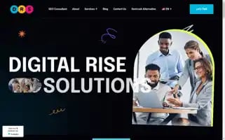 Digital-rise-solutions.com Screenshot 2024-06-27 17:16:24