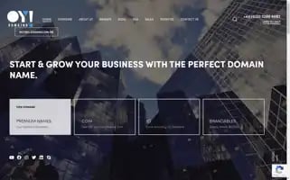 Oydomains.com Screenshot 2024-06-29 20:53:22