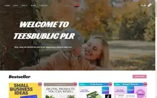 Teesbublic.com Screenshot 2024-05-25 08:16:50