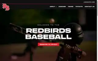 Redbirdstravelbaseball.com Screenshot 2024-04-15 23:23:01