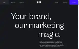 Themediabutler.com Screenshot 2024-06-13 13:39:11