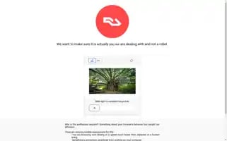 Ra.co Screenshot 2024-06-16 05:40:21