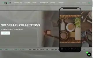 Dropsell-tunisie.com Screenshot 2024-05-24 08:30:14