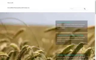 Swejuyhir.top Screenshot 2024-07-07 14:14:01