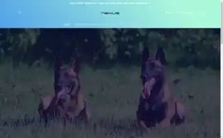 Nexusoutlets.com Screenshot 2024-05-02 04:01:27