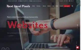 Nextlevelpixels.com Screenshot 2024-06-15 20:01:13