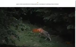 Rewolf.studio Screenshot 2024-07-03 01:12:15