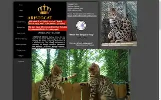 Aristocatbengal.com Screenshot 2024-05-15 12:12:29