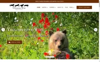 Yellowstonewildtours.com Screenshot 2024-04-17 17:28:52