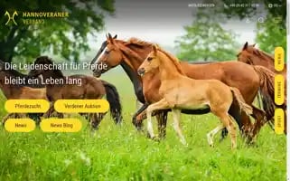 Hannoveraner.com Screenshot 2024-06-30 19:14:12