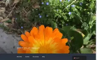 Healinground.com Screenshot 2024-05-22 16:15:54