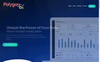 Polygonbi.com Screenshot 2024-05-19 16:51:36