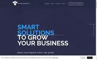 Brandbanditsmarketing.com Screenshot 2024-06-12 23:41:53