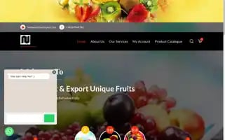 Nurimpex.com Screenshot 2024-05-25 21:02:59