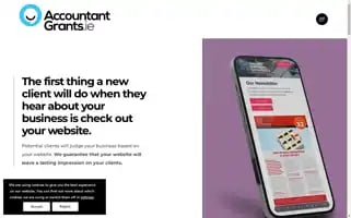 Accountantgrants.ie Screenshot 2024-07-10 01:37:14