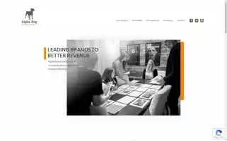 Alphadogadv.com Screenshot 2024-07-02 06:20:17