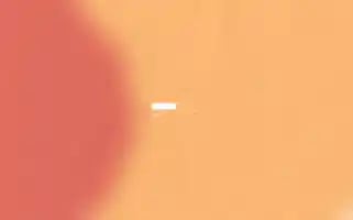 Nicofrutta.it Screenshot 2024-07-07 04:38:03