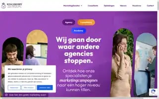 Kingsberry.be Screenshot 2024-06-15 14:43:33