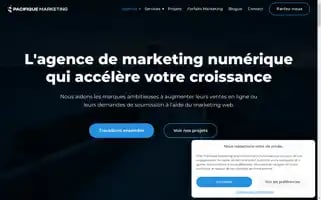 Pacifiquemarketing.ca Screenshot 2024-06-15 11:33:01