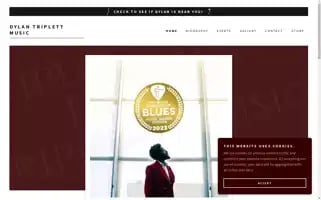 Dylantriplettmusic.com Screenshot 2024-04-17 14:43:57