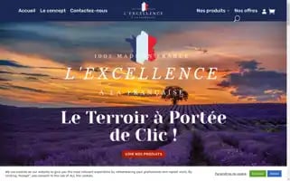 Excellencealafrancaise.com Screenshot 2024-05-27 10:11:04