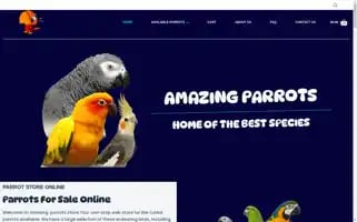Amazingparrotsforsale.com Screenshot 2024-05-27 03:45:50