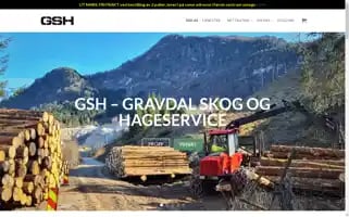 Gsh.as Screenshot 2024-05-20 16:04:59