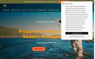 Bnjsg.com Screenshot 2024-06-27 19:17:29