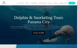 Pcb-dolphintours.com Screenshot 2024-04-18 10:30:47