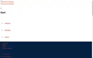 Spynergychicago.com Screenshot 2024-06-12 05:02:02