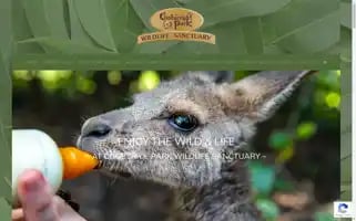 Cooberriepark.com.au Screenshot 2024-06-12 04:01:46