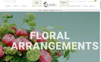 Mcardles.com Screenshot 2024-06-11 22:18:53