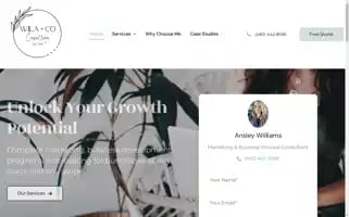 Wilacoconsulting.com Screenshot 2024-06-18 11:34:00