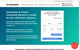 Skupavto.com.ua Screenshot 2024-07-05 12:28:48