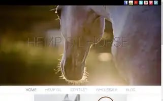 Hempoilhorse.com Screenshot 2024-07-02 15:46:32