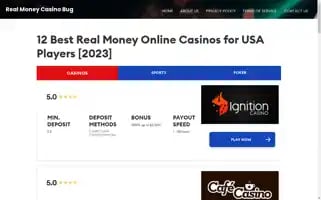 Realmoneycasinobug.com Screenshot 2024-06-14 01:51:53