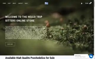Hellotripsitters.com Screenshot 2024-04-23 01:16:53