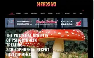 Headynj.com Screenshot 2024-07-04 09:14:58