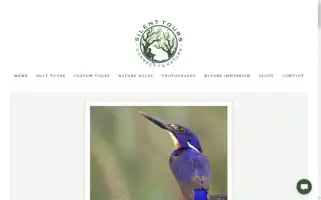 Silenttours.com.au Screenshot 2024-04-22 09:56:22