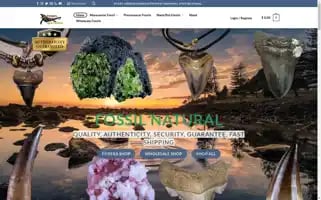 Fossilnatural.com Screenshot 2024-05-20 06:03:34
