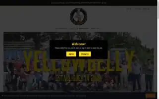 Yellowbellybeer.ie Screenshot 2024-05-05 18:24:17