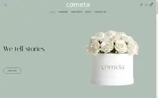 Cometadecoration.com Screenshot 2024-05-26 11:59:38