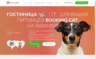 Cat-dog-hotel.ru Screenshot 2024-04-15 21:43:11