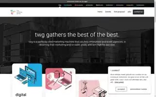 Theworkinggroup.be Screenshot 2024-06-16 13:30:49