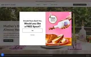 Brightland.co Screenshot 2024-05-04 02:53:10