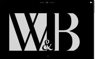 Wandb.co.jp Screenshot 2024-06-18 16:09:12