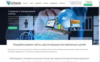 Wigos.ru Screenshot 2024-06-19 00:03:43