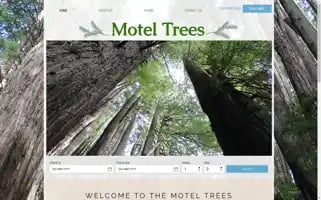 Moteltrees.com Screenshot 2024-06-30 05:44:33