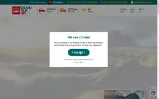 Icelandtour.info Screenshot 2024-04-19 13:13:17